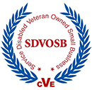 SDVOSB